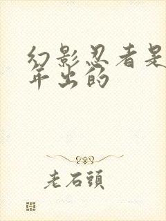 幻影忍者是哪一年出的