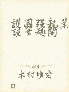 护国强龙叶空小说笔趣阁