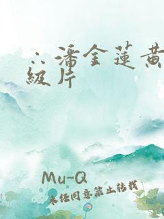 ∴潘金莲黄色一级片