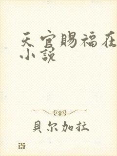 天官赐福在哪看小说
