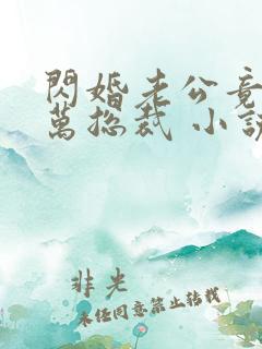 闪婚老公竟是亿万总裁 小说