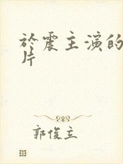 于震主演的谍战片