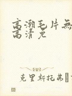 高潮毛片无遮挡高清免