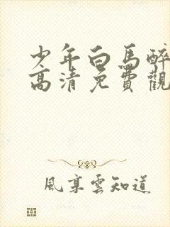 少年白马醉春风高清免费观看全集