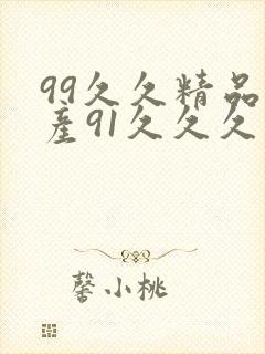 99久久精品国产91久久久