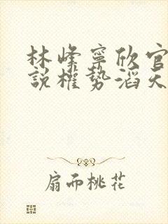 林峰宁欣官场小说权势滔天