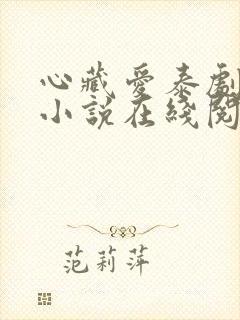 心藏爱泰剧原著小说在线阅读