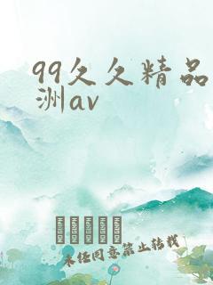 99久久精品亚洲av