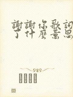 谢谢你歌词表达了什么意思啊