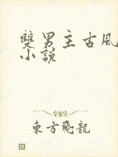 双男主古风师徒小说