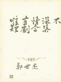 唯有情深不可负短剧合集