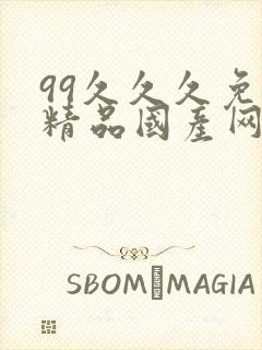 99久久久免费精品国产网站