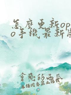 怎么更新oppo手机最新版本