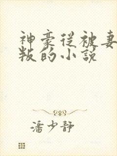 神豪从被妻子背叛的小说