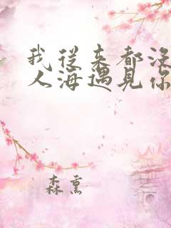 我从来都没后悔人海遇见你是什么歌