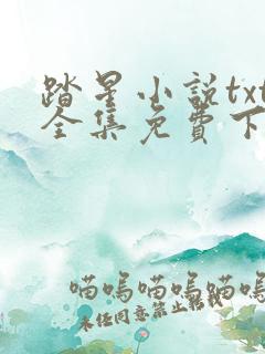 踏星小说txt全集免费下载