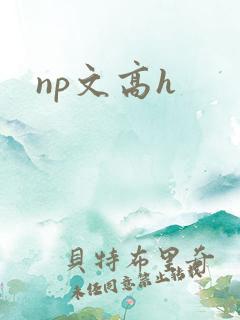 np文高h