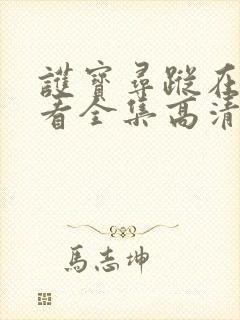 护宝寻踪在线观看全集高清