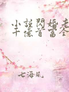 小说闪婚老公是千亿首富全文阅读