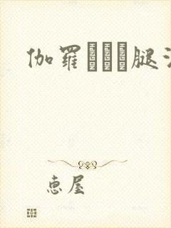 伽罗ちゃん腿法