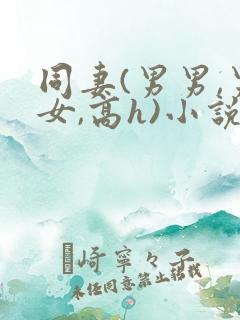 同妻(男男,男女,高h)小说