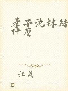 孝子沈林结局是什么