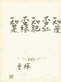 知否知否知否应是绿肥红瘦原著