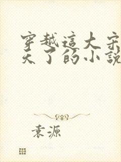 穿越这大宋该变天了的小说免费阅读