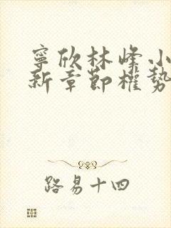 宁欣林峰小说最新章节权势滔天