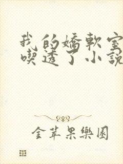 我的娇软室友被吃透了小说