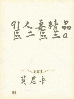 91人妻精品一区二区三a