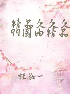 精品久久久久久99国内精品