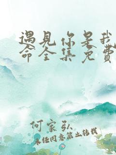 遇见你是我的宿命全集免费