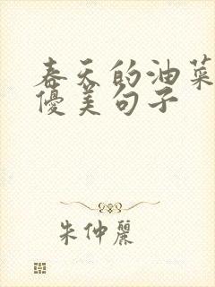 春天的油菜花的优美句子