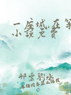 一座城,在等你小说免费