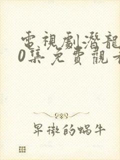 电视剧潜龙道40集免费观看视频