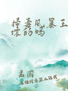 扫毒风暴王奇是坏的吗