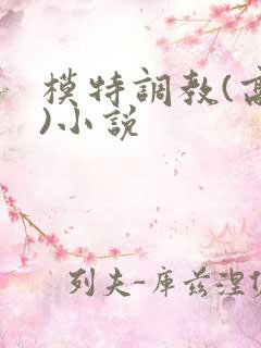 模特调教(高h)小说