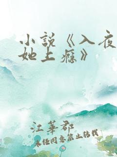 小说《入夜,对她上瘾》