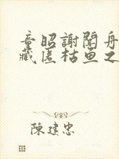 童昭谢闻舟往事藏匿枯鱼之肆全文阅读小说