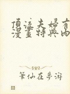 顶流夫妇有点甜漫画特典内容