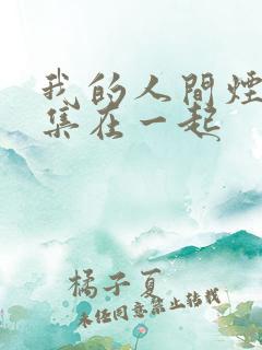 我的人间烟火几集在一起