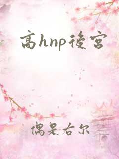 高hnp后宫
