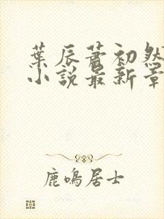 叶辰萧初然结局小说最新章节