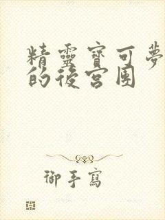 精灵宝可梦小智的后宫团