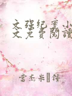 文强纪实小说全文免费阅读