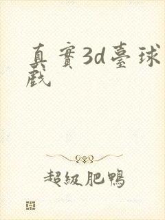 真实3d台球游戏