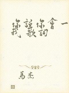 你说你会一直爱我 歌词