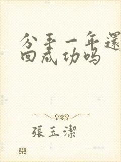 分手一年还能挽回成功吗