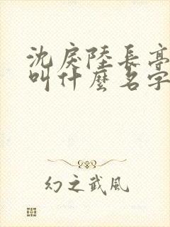 沈戾陆长亭小说叫什么名字